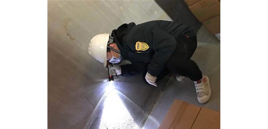 白蟻的主要危害有哪些?