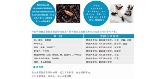 澳潔幫您了解白蟻的危害